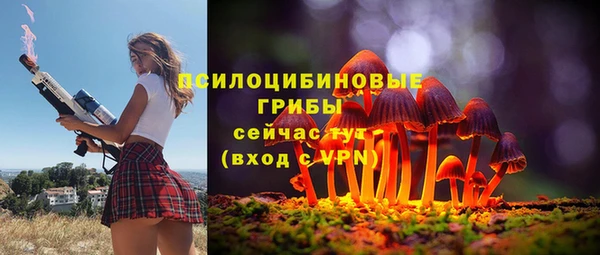 трава Горно-Алтайск