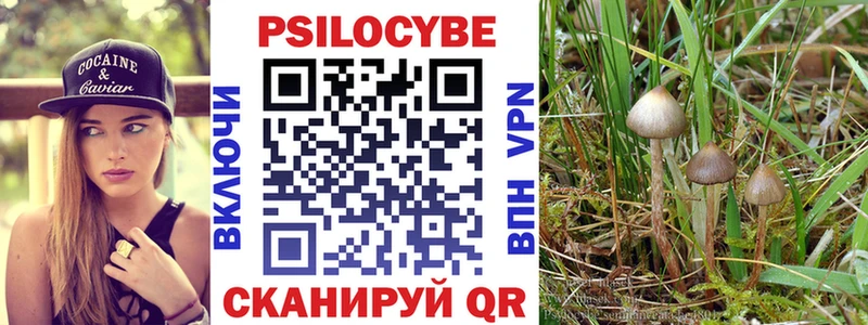 Псилоцибиновые грибы мицелий  Муром 