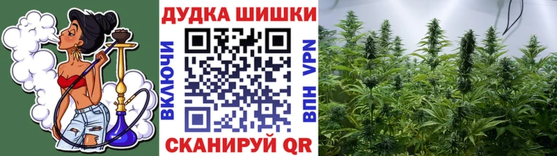 хочу   OMG ссылки  Марихуана Bruce Banner  darknet состав  Муром 